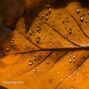 Meet your Posher, Taneisha